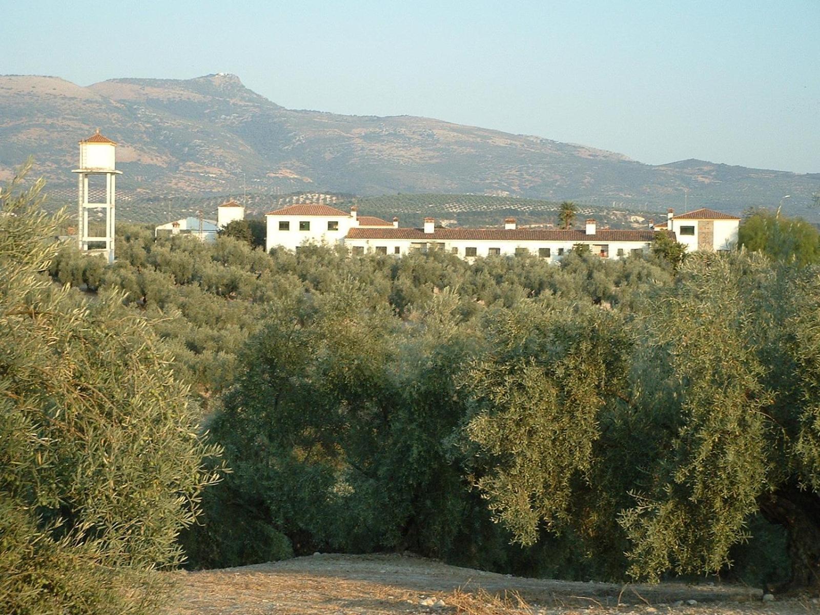 Appartamento Cortijo De Frias Cabra Esterno foto