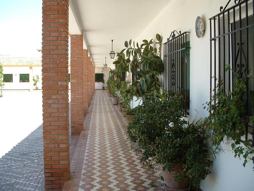 Appartamento Cortijo De Frias Cabra Camera foto